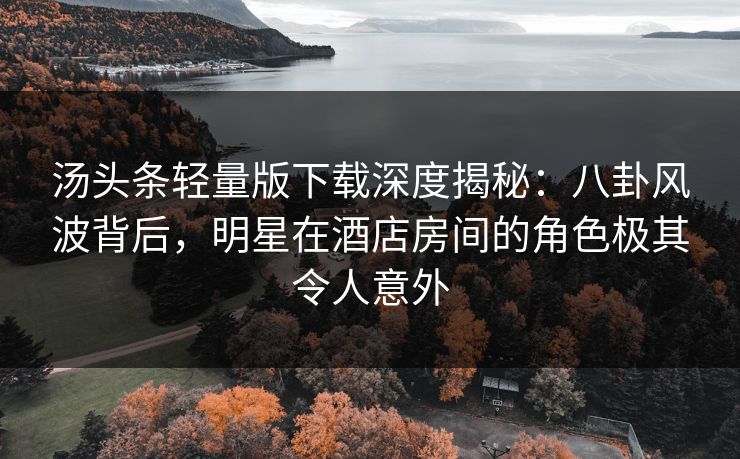 汤头条轻量版下载深度揭秘：八卦风波背后，明星在酒店房间的角色极其令人意外