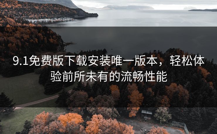 9.1免费版下载安装唯一版本，轻松体验前所未有的流畅性能