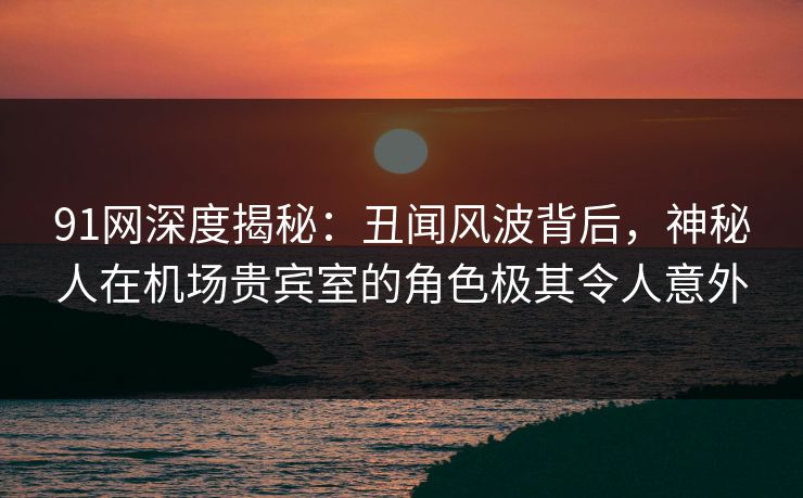 91网深度揭秘：丑闻风波背后，神秘人在机场贵宾室的角色极其令人意外