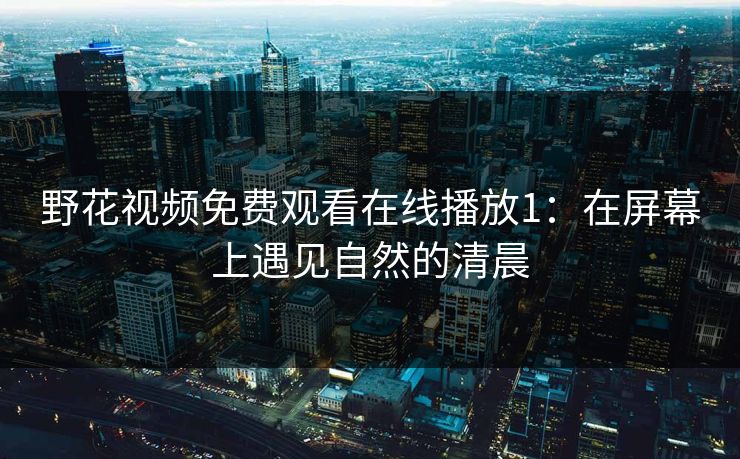 野花视频免费观看在线播放1：在屏幕上遇见自然的清晨