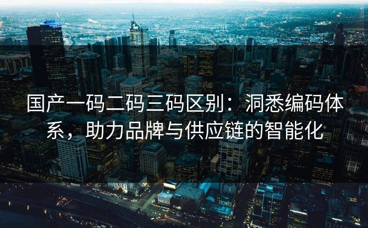 国产一码二码三码区别：洞悉编码体系，助力品牌与供应链的智能化