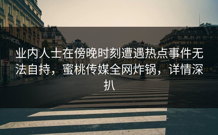 业内人士在傍晚时刻遭遇热点事件无法自持，蜜桃传媒全网炸锅，详情深扒